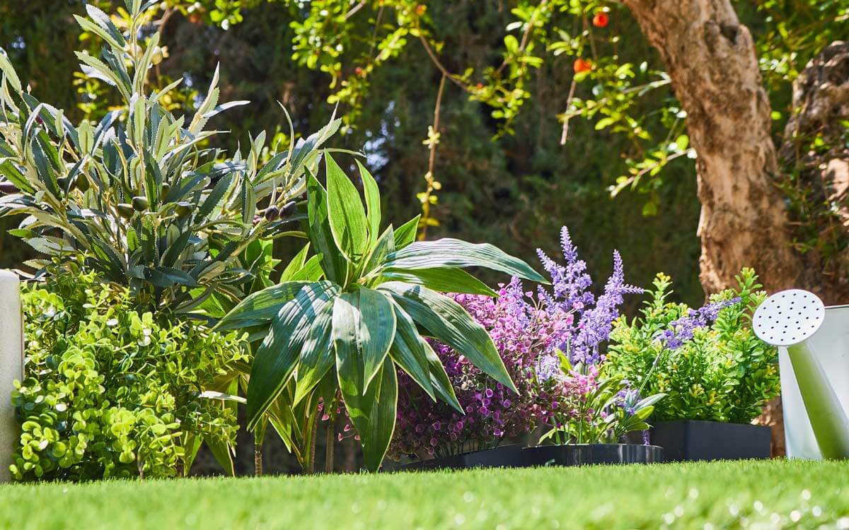 Consejos para podar las plantas de tu jardín