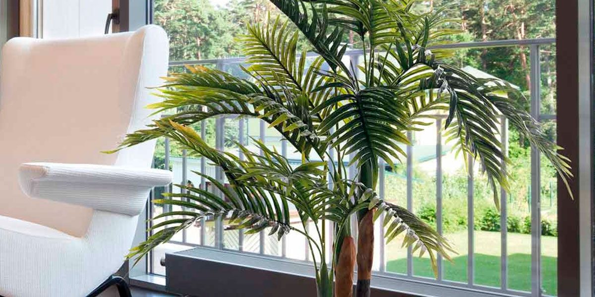 Planta artificial palmera, ¿por qué es un éxito en decoración?