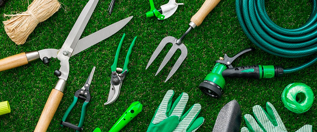 Herramientas de jardinería, tips para limpiar tus herramientas adecuadamente