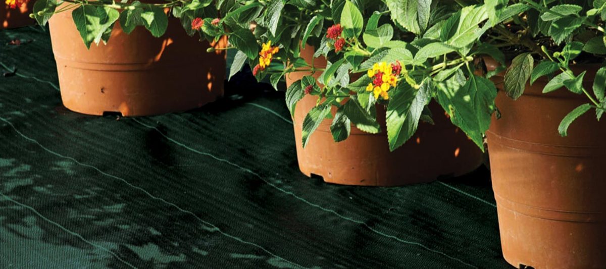 Pautas para instalar una malla antihierbas en tu jardín