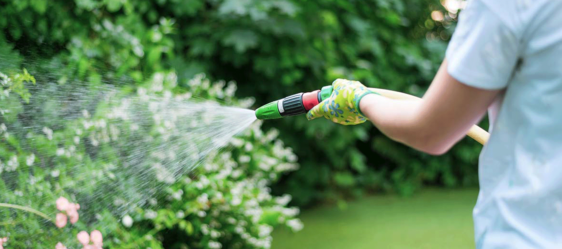 Limpieza y mantenimiento de jardines de casa en verano