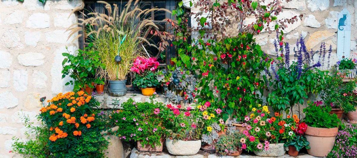 Trucos para crear un típico jardín mediterráneo
