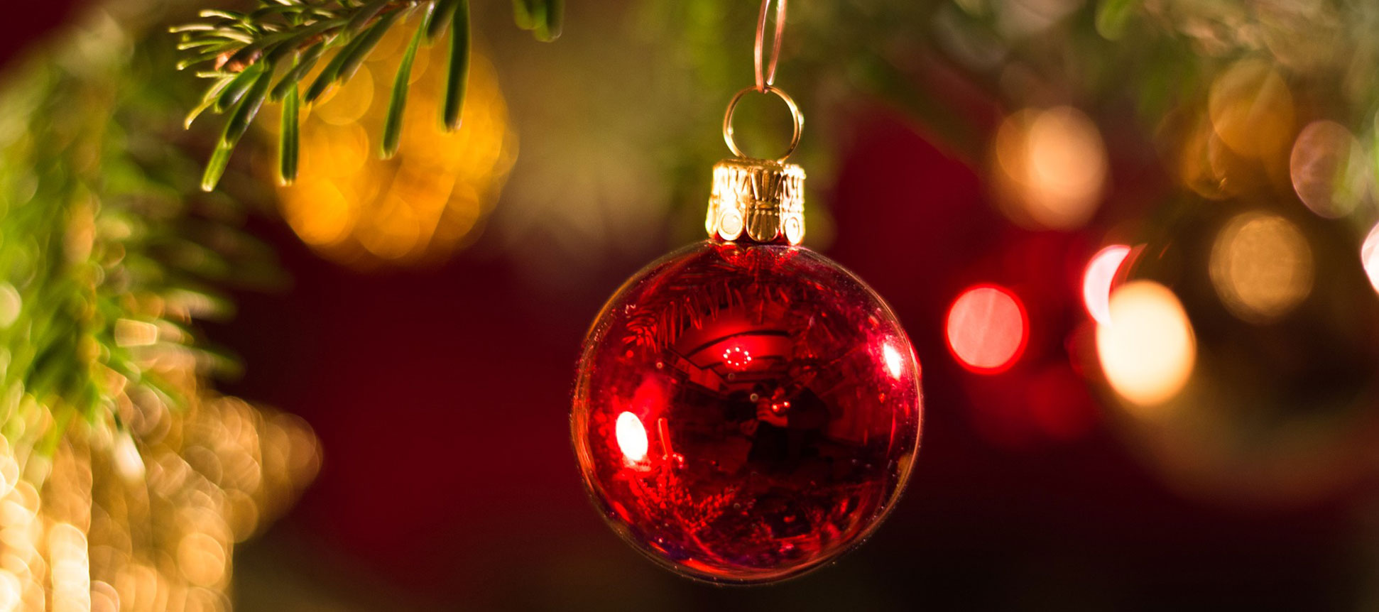 Cómo guardar el árbol de Navidad para el próximo año