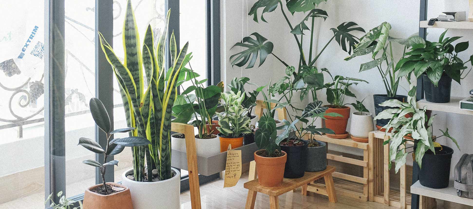Plantas artificiales para que tu casa sea un oasis, ¡Welcome to the jungle!