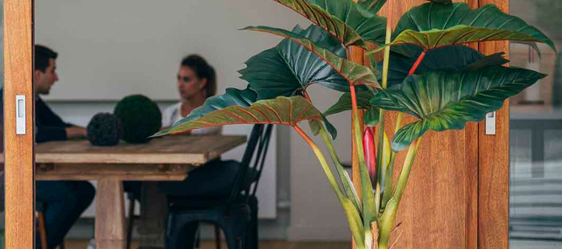 Cinco plantas artificiales colgantes para decorar tu casa que