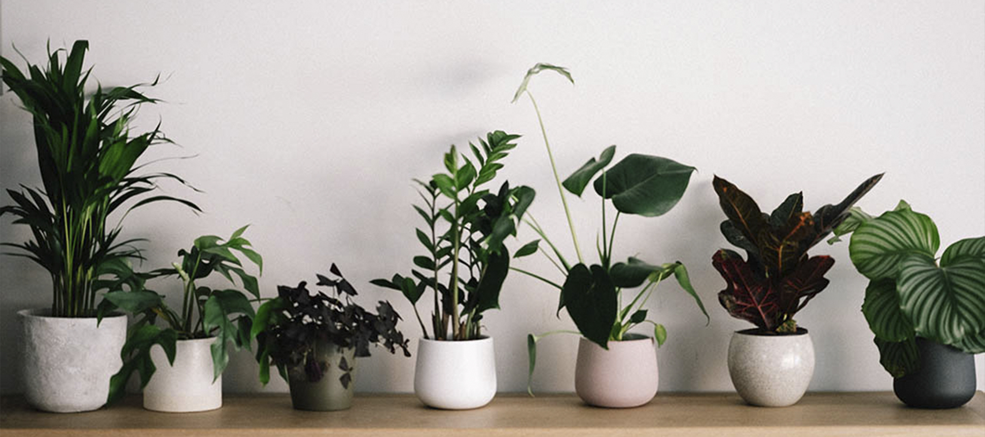 ¡Dale un toque natural a tu pasillo con plantas artificiales!