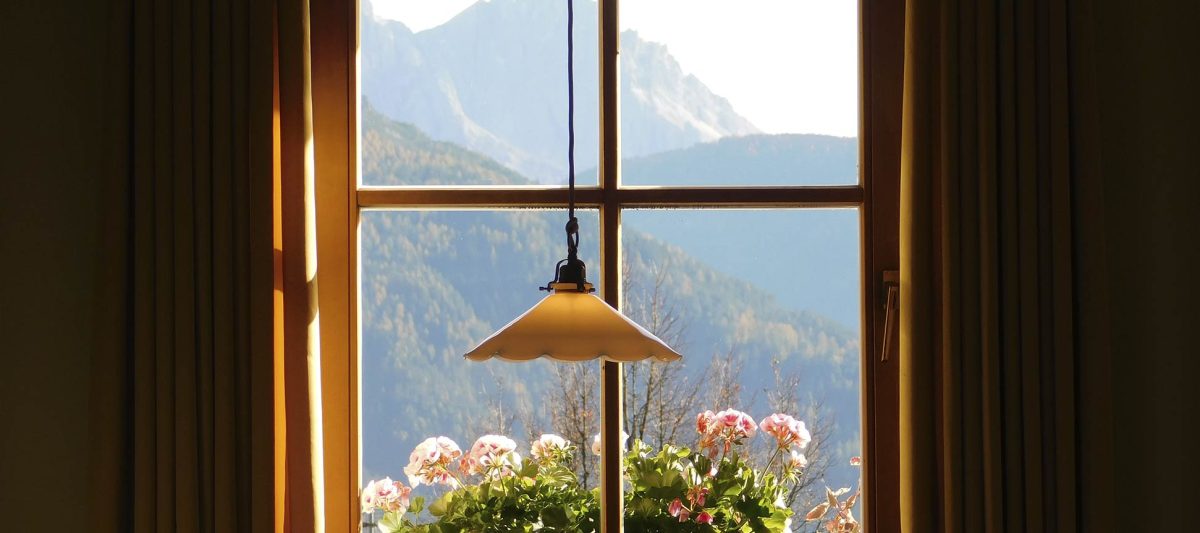 ¿Cómo decorar con plantas la repisa de la ventana?