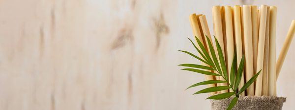 5 ideas para usar tutores de bambú en la decoración de tu hogar