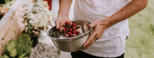 Cómo cultivar tomates Cherry en macetas y aprovechar al máximo el espacio en tu hogar