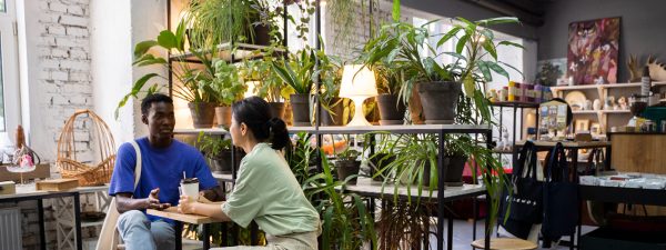 Mejora la estética de tu negocio con plantas artificiales